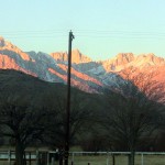 Lone Pine View