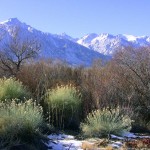 Mt Whitney and the Alabama Hills