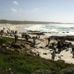 Hundreds of artists painting at the beach.