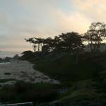Along Scenic Road