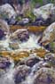 Sierra Stream