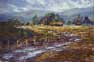 rain puddles near pescadero california