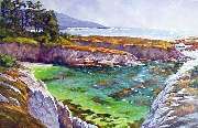 china cove,Big Sur, California