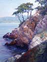 Pt Lobos, California