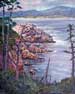 Pt Lobos, California