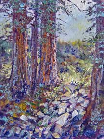 Redwoods, santa cruz
